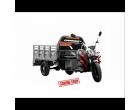 ELECTRIC TRICYCLE  E RIDE CARGO Lion